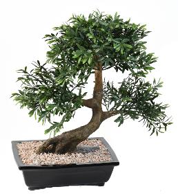 Bonsa Black Willow arbre miniature en coupe - plante synthtique intrieur - H.50cm
