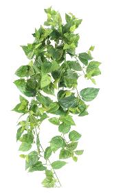 Feuillage artificiel chute de Pothos en piquet - plante d'intrieur - H.75cm vert