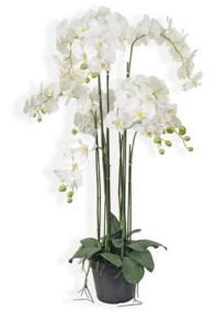 Plante artificielle Orchidée en pot - plante synthétique - H.115cm blanc