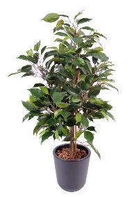Arbuste artificiel Ficus Natasja - plante synthtique intrieur - H.60cm