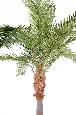 Palmier artificiel Phoenix Canariensis - plante artificielle luxe - H.440cm vert