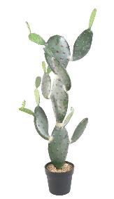Plante artificielle Cactus Opuntia - Plante pour intrieur - H. 120cm vert