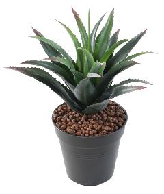 Plante artificielle Furcraea 21 feuilles - cactus artificiel intrieur - H.25cm vert