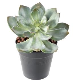 Mini plante artificielle Succulente - cactus artificiel intrieur - H.12cm