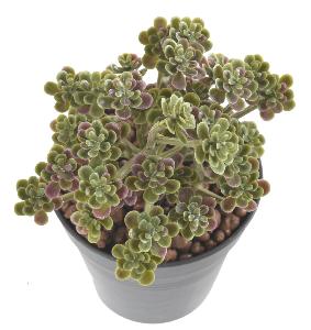 Plante artificielle Succulente en piquet - cactus artificiel intérieur - H.13cm