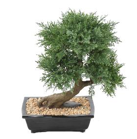 Bonsa Juniperus artificiel en coupe - plante synthtique intrieur - H.55cm