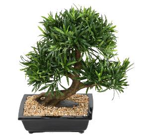 Bonsa Podocarpus artificiel en coupe - plante synthtique intrieur - H.50cm