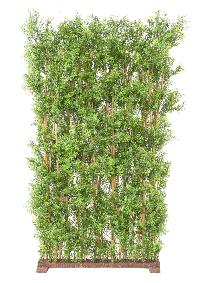 Haie artificielle Eucalyptus Plastique UV - plante pour extrieur - H.180cm