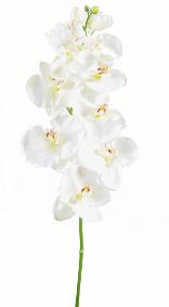 Orchide artificielle Phalaenopsis tige large - cration bouquet - H.110cm blanc