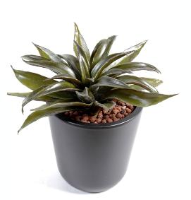 Plante artificielle Agave mini - cactus artificiel intrieur - H.24cm vert