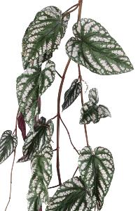 Feuillage artificiel chute de Bégonia Muculata - plante retombante d'intérieur - H.230cm
