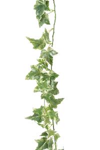 Guirlande artificielle Lierre Hollandais 68 feuilles - intérieur - H.180cm panaché