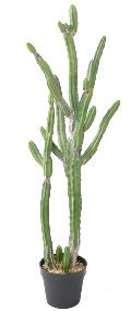 Plante artificielle Cactus Finger F - Plante pour intrieur - H.120cm vert