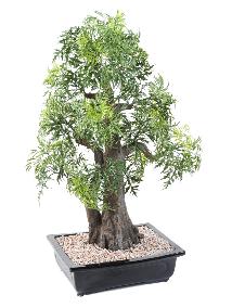 Bonsa Aralia arbre miniature en coupe - plante synthtique intrieur - H.80cm