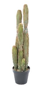 Plante artificielle Cactus Finger 6 troncs - Plante pour intrieur - H.95cm vert