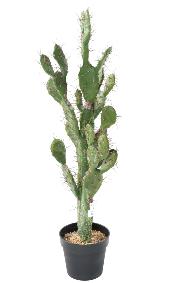 Plante artificielle Cactus Plat - Plante pour intrieur - H. 104cm vert
