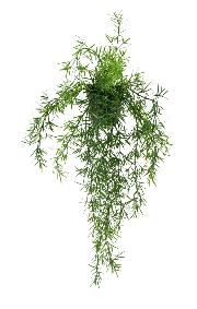 Plante retombante artificielle Asparagus en pot - intrieur extrieur - H.55cm