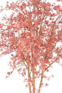 Plante artificielle Aralia Tree PE UV (érable) - intérieur extérieur - H.270cm rouge