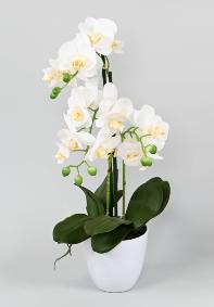 Fleur artificielle Orchide Phalaenopsis avec pot blanc - plante d'intrieur - H.60cm
