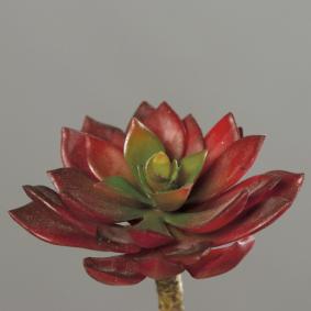 Mini plante artificielle Succulente rouge - cactus artificiel intrieur - H.12cm