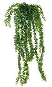 Plante artificielle Lycopodium en pot - intrieur extrieur - H.70cm vert