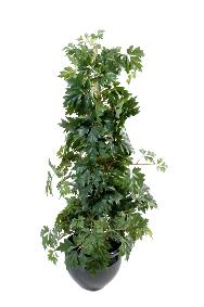 Plante verte artificielle Cissus (Vigne d'appartement) - dcoration d'intrieur - H.100cm