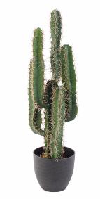Plante artificielle Cactus Finger - Plante synthtique intrieur - H. 75cm vert
