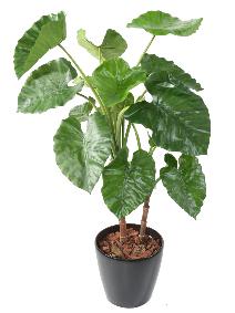 Plante artificielle Alocasia Calidora - dcoration d'intrieur - H.130cm