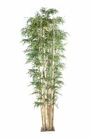 Bambou artificiel Gant 20 cannes naturelles - intrieur - H.380cm vert
