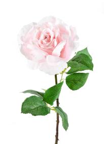 Fleur artificielle coupée rose - décoration d'intérieur - H.66cm rose clair
