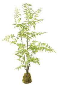 Fougre artificielle socle mousse - plante d'intrieur - H.130cm vert