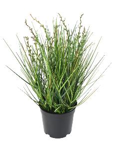 Plante artificielle Berry Onion Grass en pot - intrieur - H.35cm vert