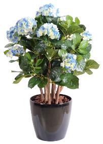 Plante artificielle Hortensia buisson - fleurs pour intrieur - H.80cm bleu