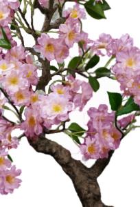 Bonsaï Cerisier artificiel en coupe - plante d'intérieur - H.50cm rose crème