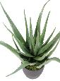 Plante artificielle Aloe vera en pot - plante pour intérieur - H.70cm vert