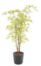 Plante artificielle Aralia Plastique UV (rable) - intrieur extrieur - H.180cm vert