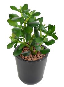 Plante artificielle Cactus Crassula Jade en piquet - plante synthtique - H.38cm