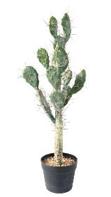 Plante artificielle Cactus Plat - Plante pour intrieur - H. 75cm vert