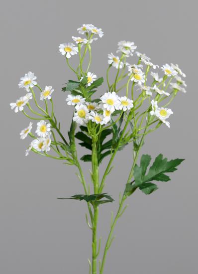 Plante artificielle Marguerite Anthemis - plante fleurie d'intérieur - H.48cm crème