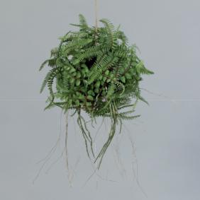 Composition artificielle boule de fougre  suspendre - Feuillage intrieur - H.38cm vert
