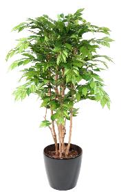 Arbre artificiel Charme 5 troncs - plante d'intrieur - H.150cm vert