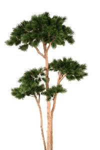 Arbre artificiel forestier Pin multiple S - arbre méditerranéen d'intérieur - H.225cm
