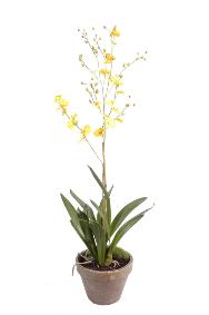 Fleur artificielle Orchide Dancing Lady - plante en pot terre - H.90cm jaune