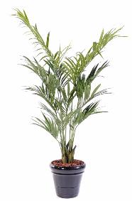 Palmier artificiel kentia Palm - dcoration d'intrieur - H.190cm vert