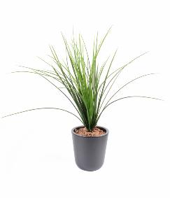 Plante artificielle Herbe Onion Grass plastique en piquet - intrieur extrieur - H.55cm