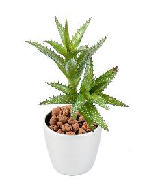 Plante artificielle Succulente Mini - cactus artificiel intrieur - H.18cm