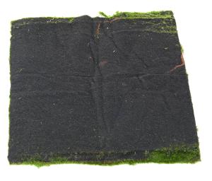 Plaque Mousse New artificielle - panneau végétal - L.50x50cm vert
