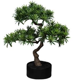 Bonsa Podocarpus artificiel en pot - plante synthtique intrieur - H.50cm