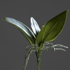Feuillage artificiel Feuilles d'orchide - plante en piquet - H.21cm vert