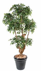 Arbre artificiel Ficus Natasja 5 ttes - plante synthtique intrieur - H.170cm